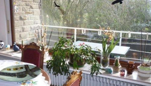 Land des Friedens in Nettersheim / Eifel - Photo 4