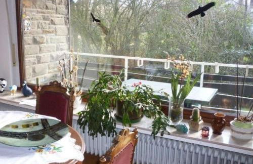 Land des Friedens in Nettersheim / Eifel - Photo 4