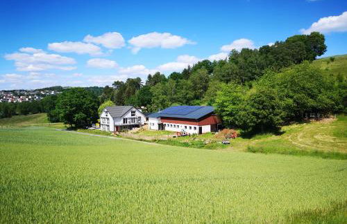 Schrauts Unwesen - Photo 1