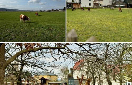 ElbOase - Radfahrer willkommen! - Foto 31