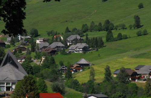 Drei Tannen - Foto 8