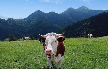 Haus Langweid - Foto 43