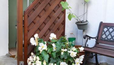 Ferienwohnung am See - Foto 4