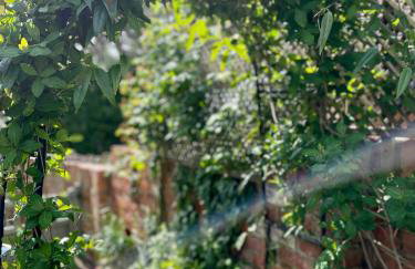 Romantic cosy cottage close to Oxford and The Cotswolds - Foto 26