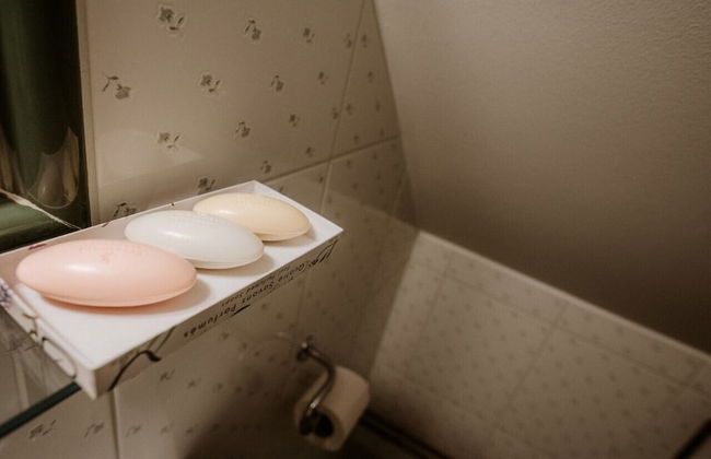 Vineyard cottage Zdolšek - Foto 14