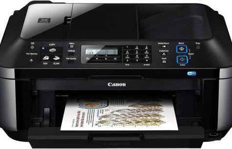 L'Albero degli Struzzi - Foto 16