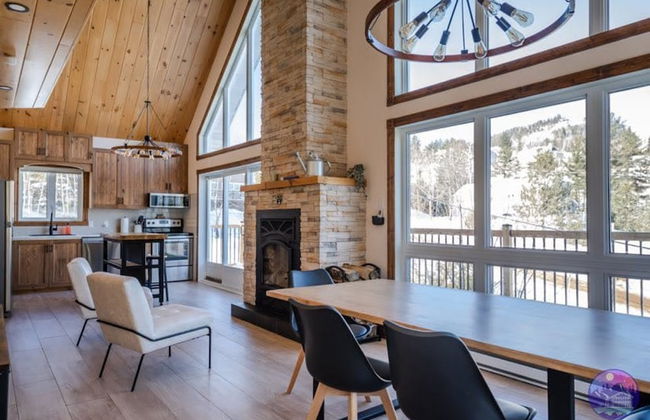 Sommet- Pet Friendly- Spa- SKI IN SKI OUT St-c me - Foto 26