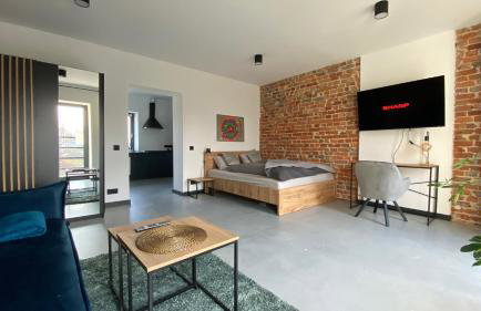 Apartamenty Gliwice Staromiejska 65 - Foto 29