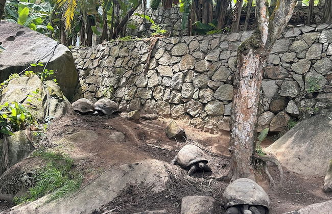 Koko Villas - Foto 36