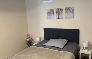 Gemütliches Appartement 5 - mit Küche und Bad zur Eigennutzung -Schuster Homes- - Foto 1