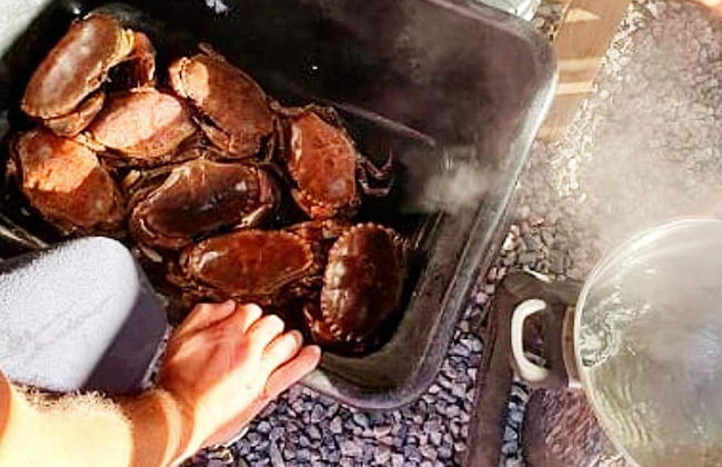 6 Person Holiday Home in Hartbakke - Foto 42