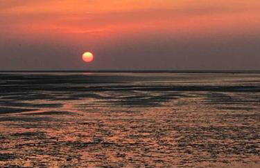 Les Bleuets - Foto 42