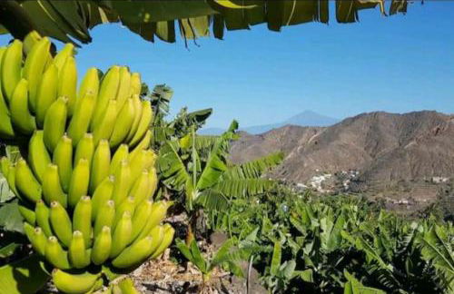 Casa Tajaraste 1 - Foto 52