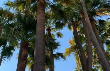 Cannes Old Port, SEAFRONT & SEAVIEWS new reversible air conditioning - Photo 44