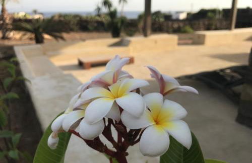 Etherea - I Dammusini di Pantelleria - Foto 26