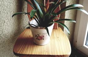 Ferienwohnung Friedrich - Photo 49