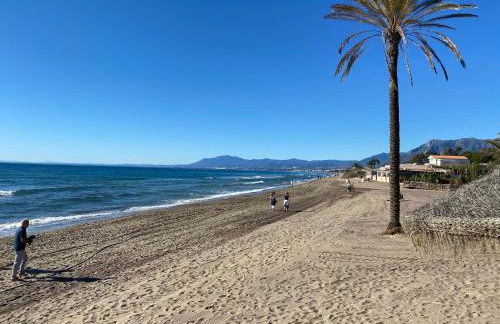 Sapphire Studio - Sea & Nature - Photo 32