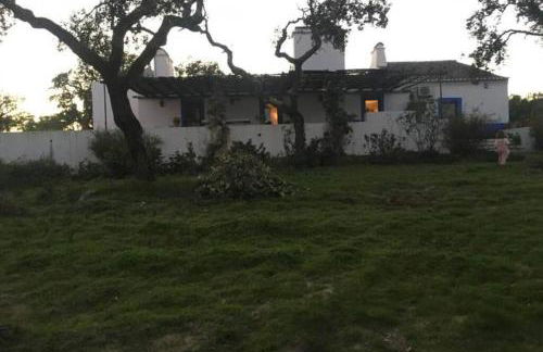 MONTE DO CORTIÇO - Foto 28