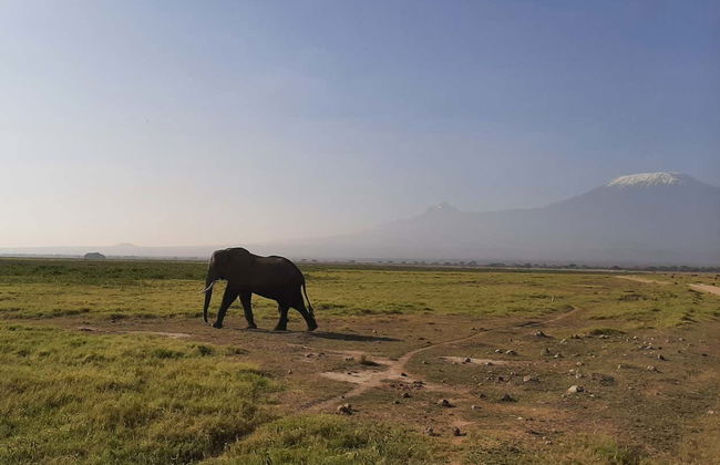 Safari privado de 3 días por el Parque Nacional de Amboseli - Foto 4
