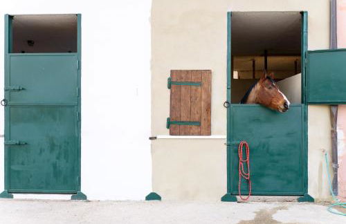 La Tenuta - Resort Agricolo - Foto 20