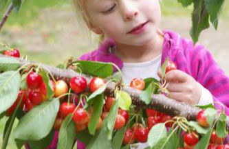Harzer Feriengarten - Foto 40