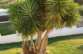 Villa Ericeira - Foto 39