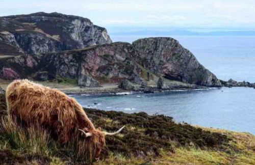 Upper Imeraval Cottage Sleeps 6 Pet-Friendly - Foto 88