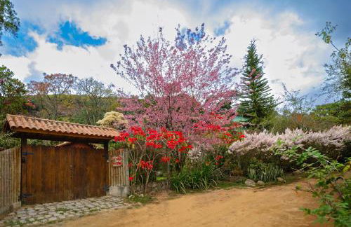 Chalé Flores e Amores - Photo 38