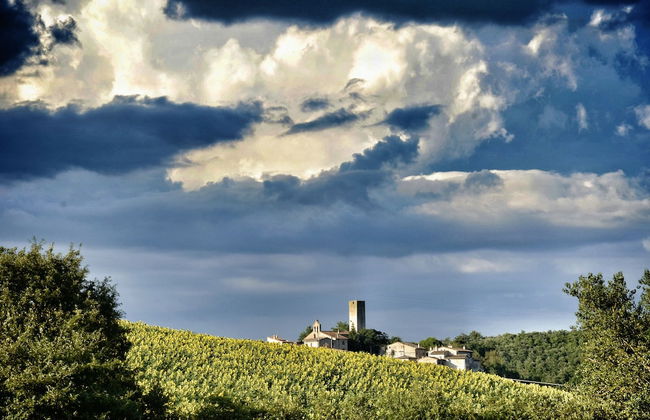 Agriturismo Casa Greppo - Il Melograno - Foto 42