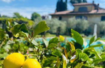 VILLA GIOTTO Florence - Foto 6