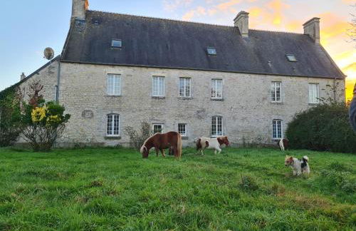 Chambre des moutons - Foto 10