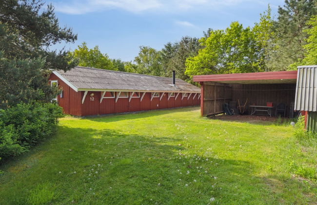 "Feliza" - from the sea - Photo 4