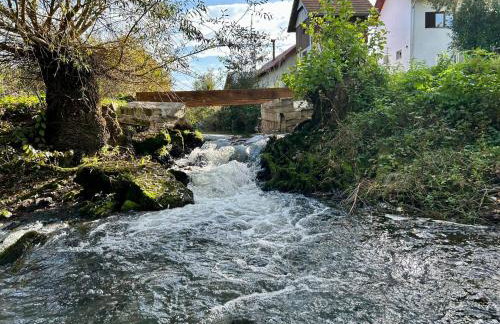 Seosko Imanje Na Obali Rijeke - Foto 1