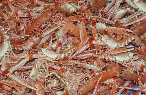 Maison Rouge - Foto 31