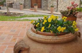 Agriturismo Circugnano - Foto 16