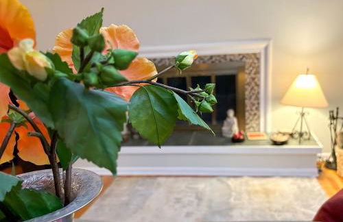 Top of the Hill, Meadowbrook - Foto 42