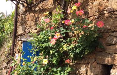 Cottage Vivenda Festina Lente - Foto 42