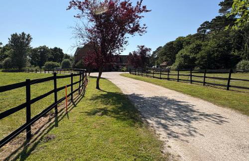 Self Catering Apartment, Jurassic Coast/Dorset - Foto 9
