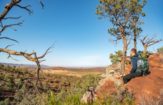 Rawnsley Park Station - Foto 33