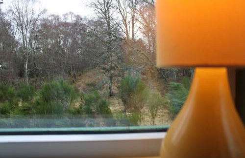 Betula Chalet – coast & country in the Highlands - Foto 14