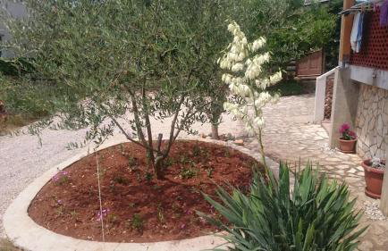 Apartmani Škrnjug - Photo 18