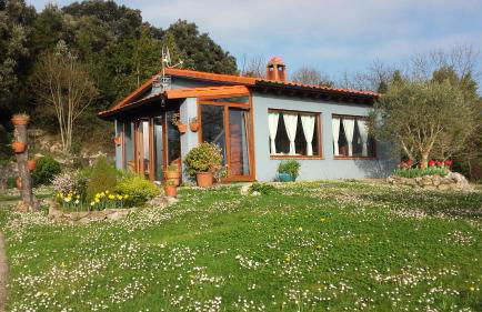 La Huerta, megustarural - Foto 1