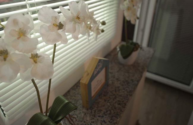 Apartments Rikli Rodine near Bled - Foto 21