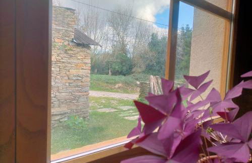 Granja Labrada: Alojamiento con caballos - Foto 4