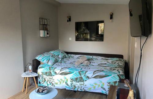 Maison individuelle dans ancienne ecurie - Foto 17