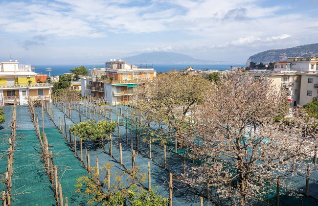 YourHome - Corso Italia Apt in Sorrento - Foto 73