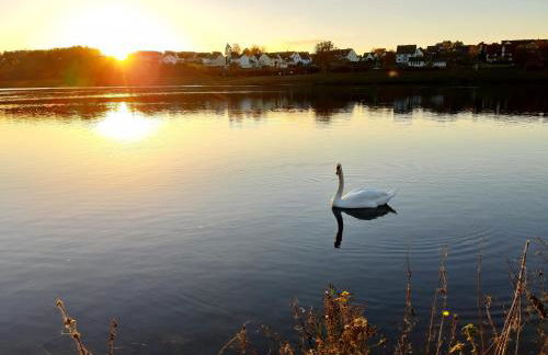 Twistesee Ferienwohnung - Foto 18