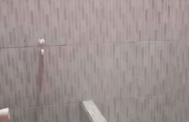 Villa Raisa - Foto 24