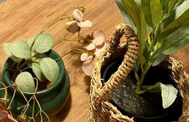 Central & Riverfront Room 2 - Photo 3