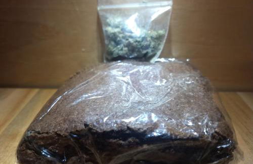 Catskills tiny house cabin - Foto 7